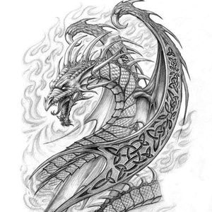 Meet your Posher, Shawn